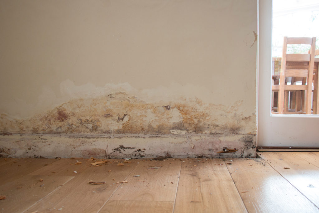 Moisissures dans la maison