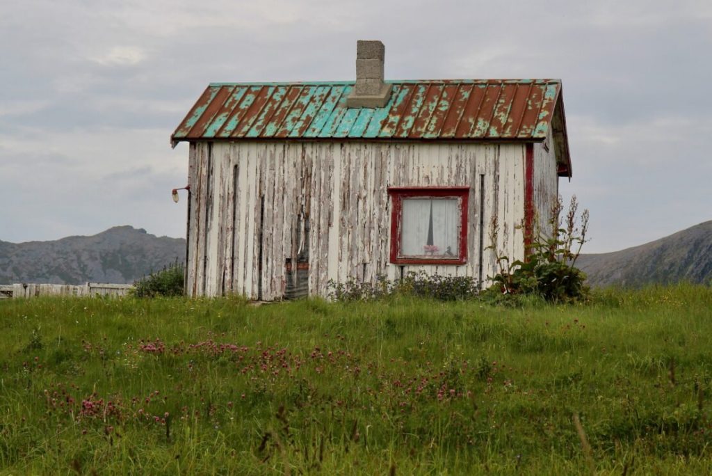 The Evolution of Insulation Materials From Yesterday to Today