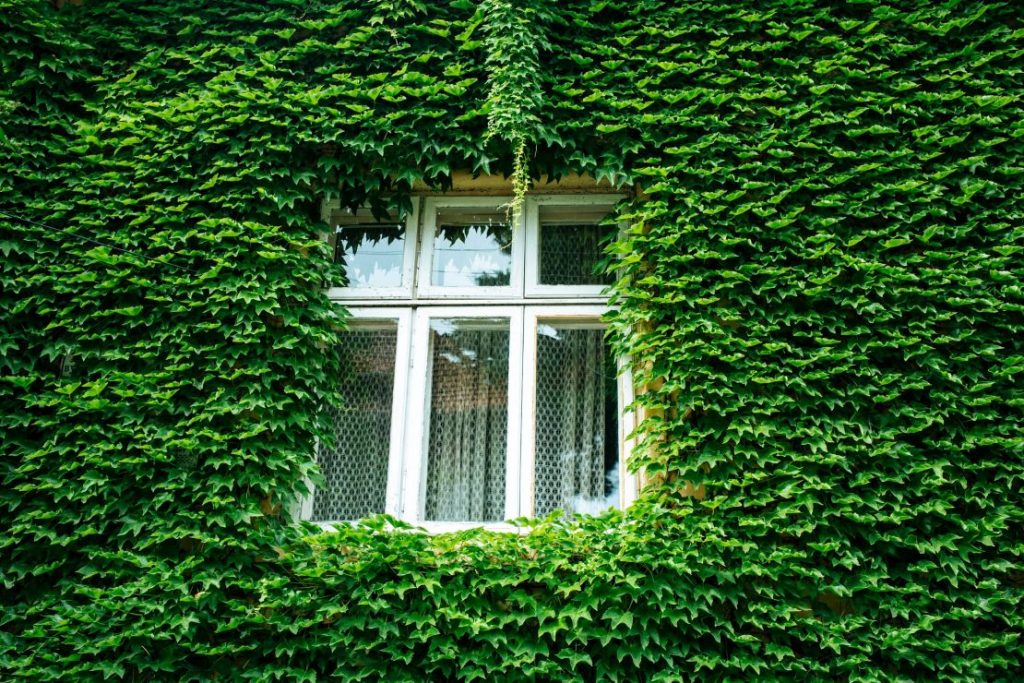 Greener houses: grants to improve the energetic efficiency.